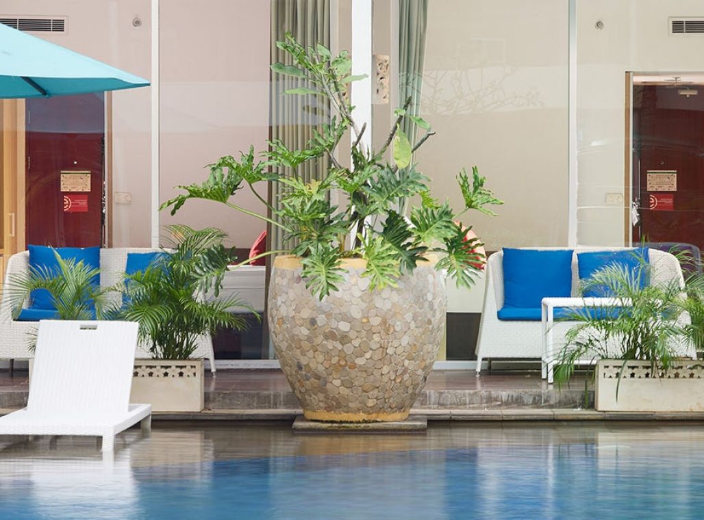 Deluxe Pool Access - Pool