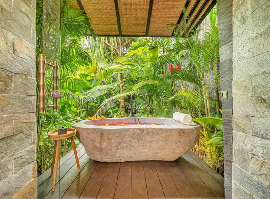 Jabu With Plunge Pool - Bathtub