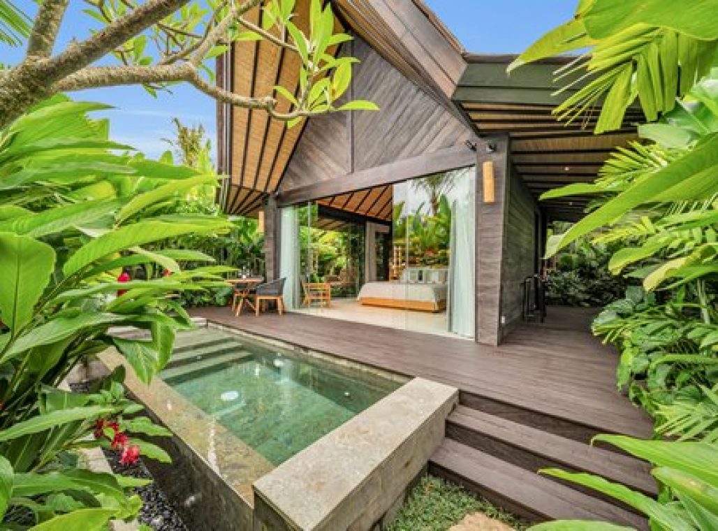 Jabu With Plunge Pool - Plunge Pool