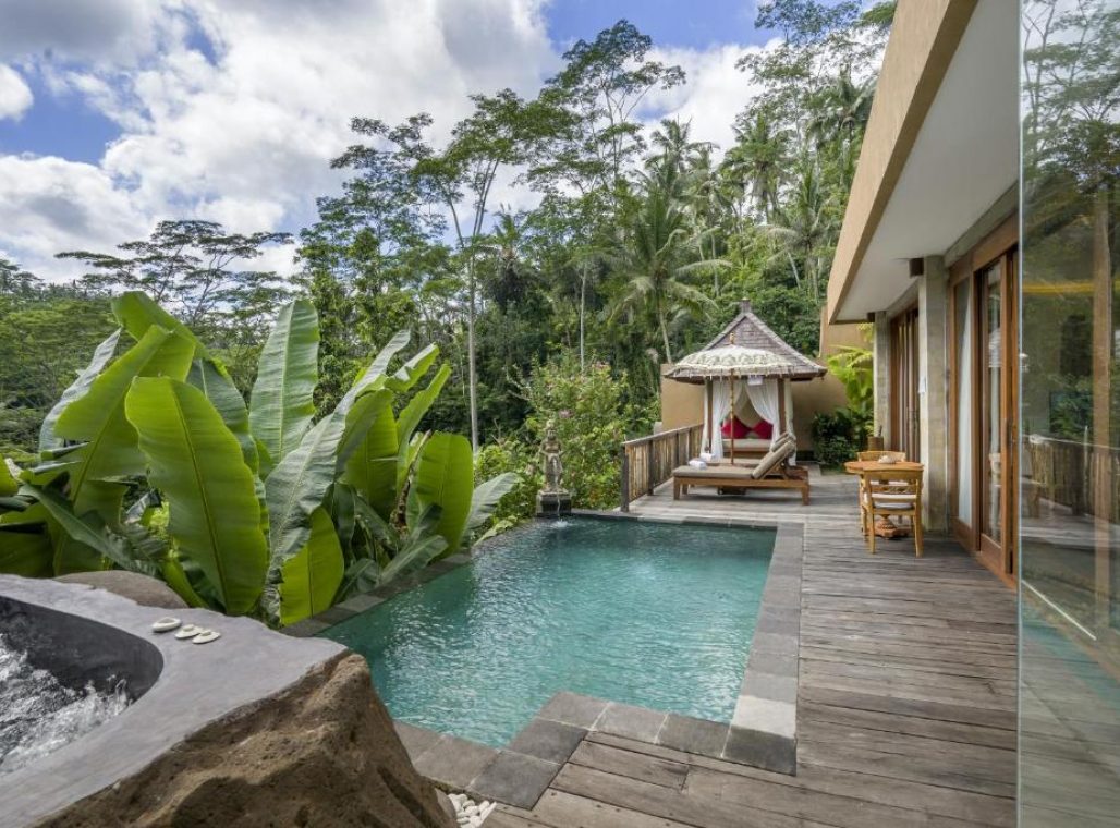 Kayon Premier Pool Villa - Pool