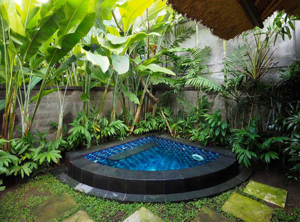 Plunge Pool Villa - Plunge Pool