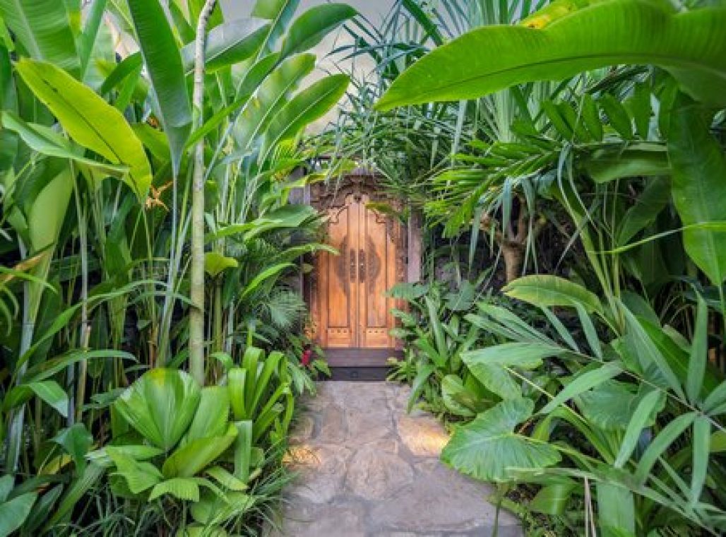 Premium Jabu Plunge Pool - Entrance