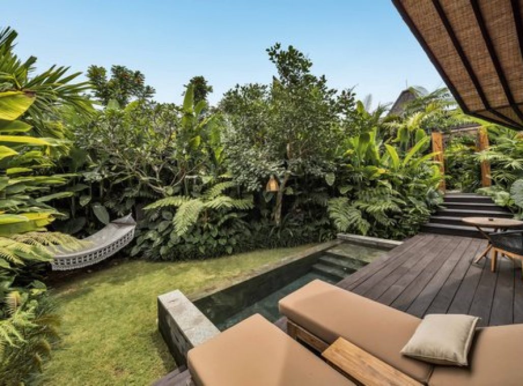 Premium Jabu Plunge Pool - Garden