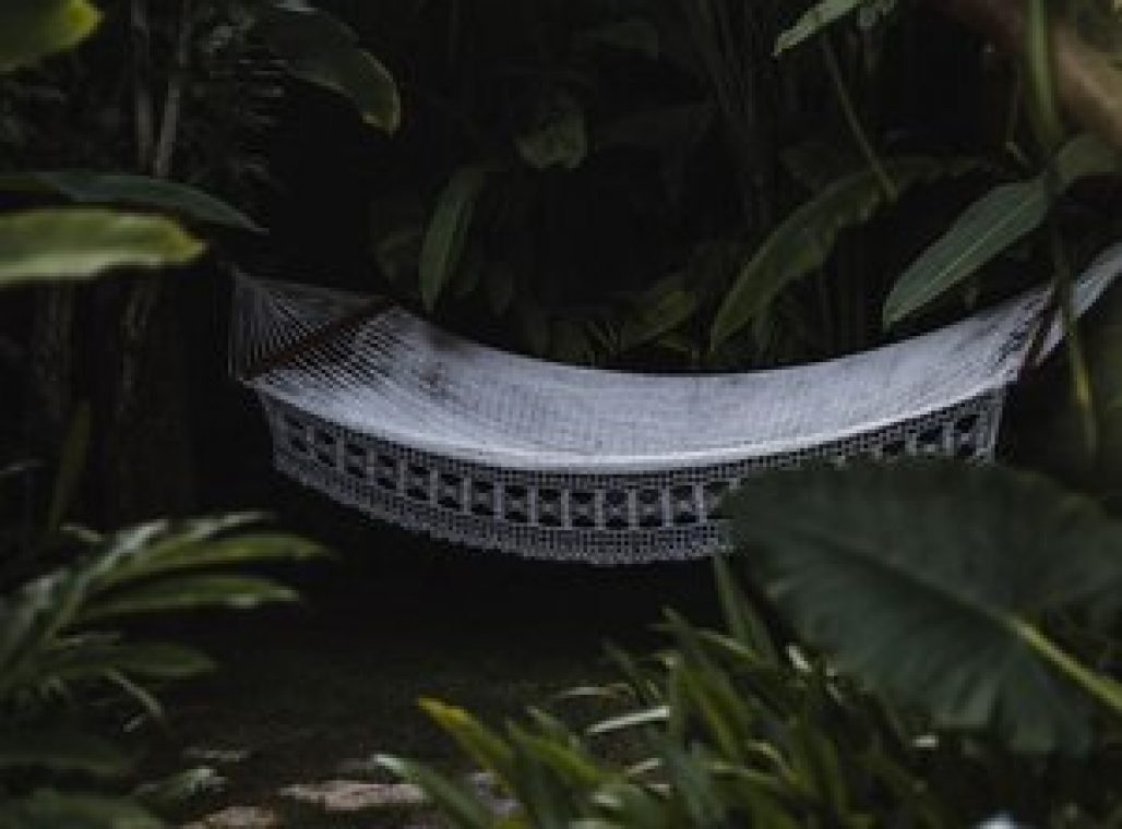 Premium Jabu Plunge Pool - Hammock