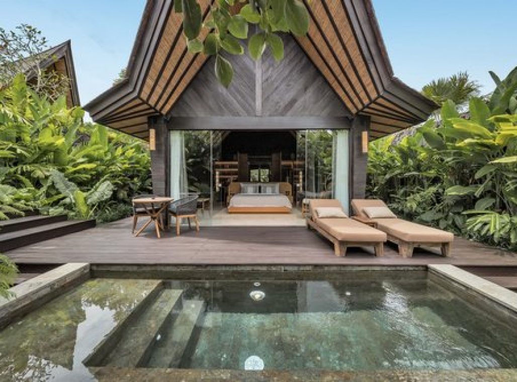 Premium Jabu Plunge Pool - Plunge Pool