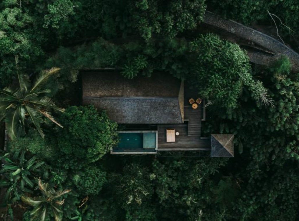 Rainforest Pool Bale -View