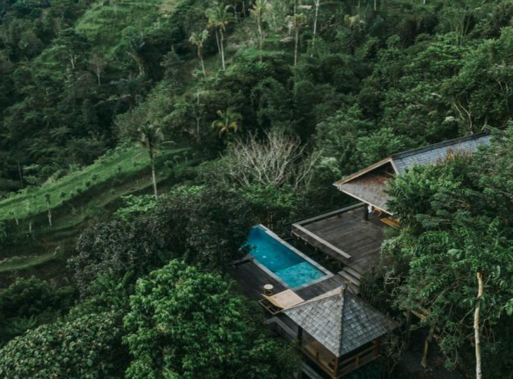 Riverside Jungle Pool Bale - View