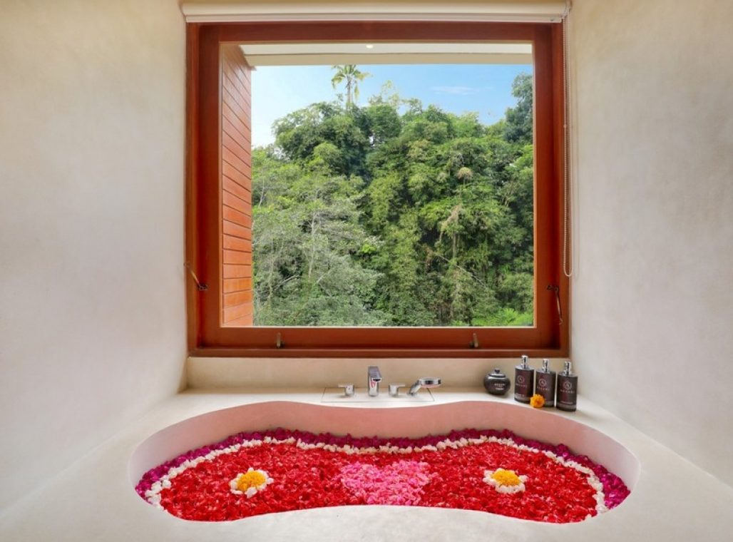 Suite Forest View - Bathtub
