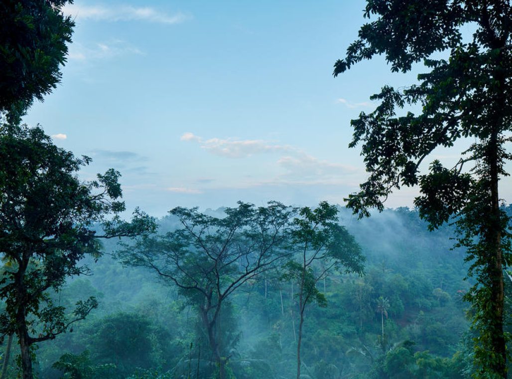 Two Bedroom Amandari Suite - View